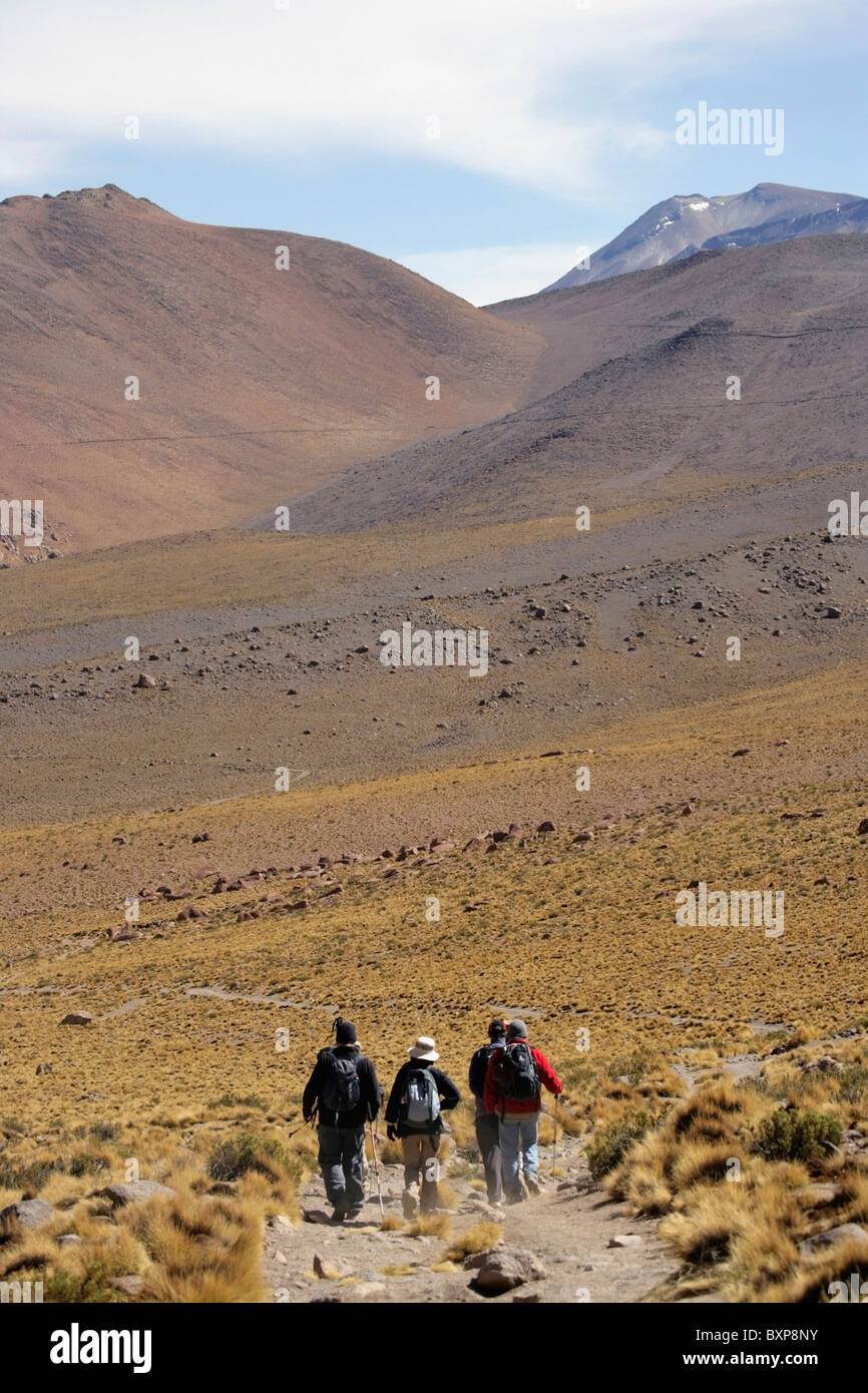 Trekking In The Andes Stock Photo - Alamy