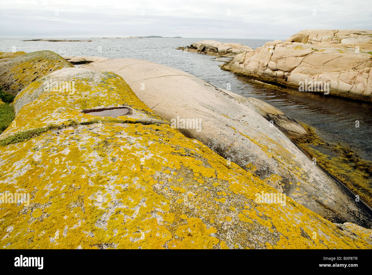 Orange lichen covers pink granite on a small island on the west coast of Sweden, Bohuslan, Sweden Stock Photo