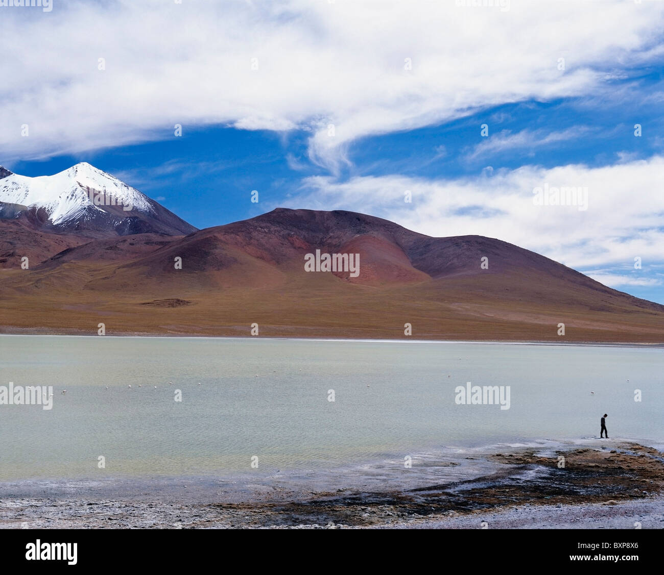 Lake In Altiplano Stock Photo