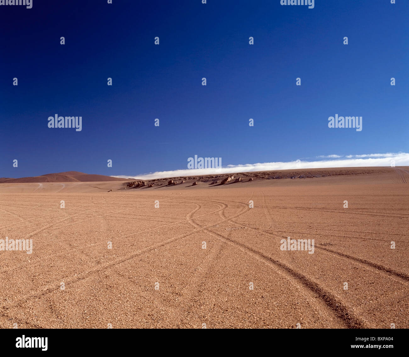 Altiplano Landscape Stock Photo