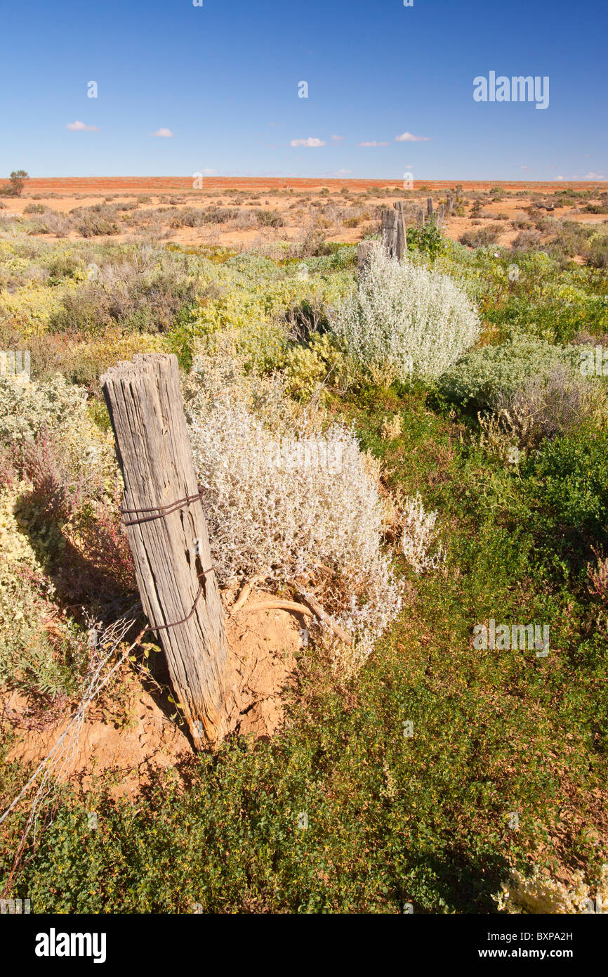 A patch of green in a red desert at Beresford Siding, Old Ghan Railway, Oodnadatta Track, South Australia Stock Photo