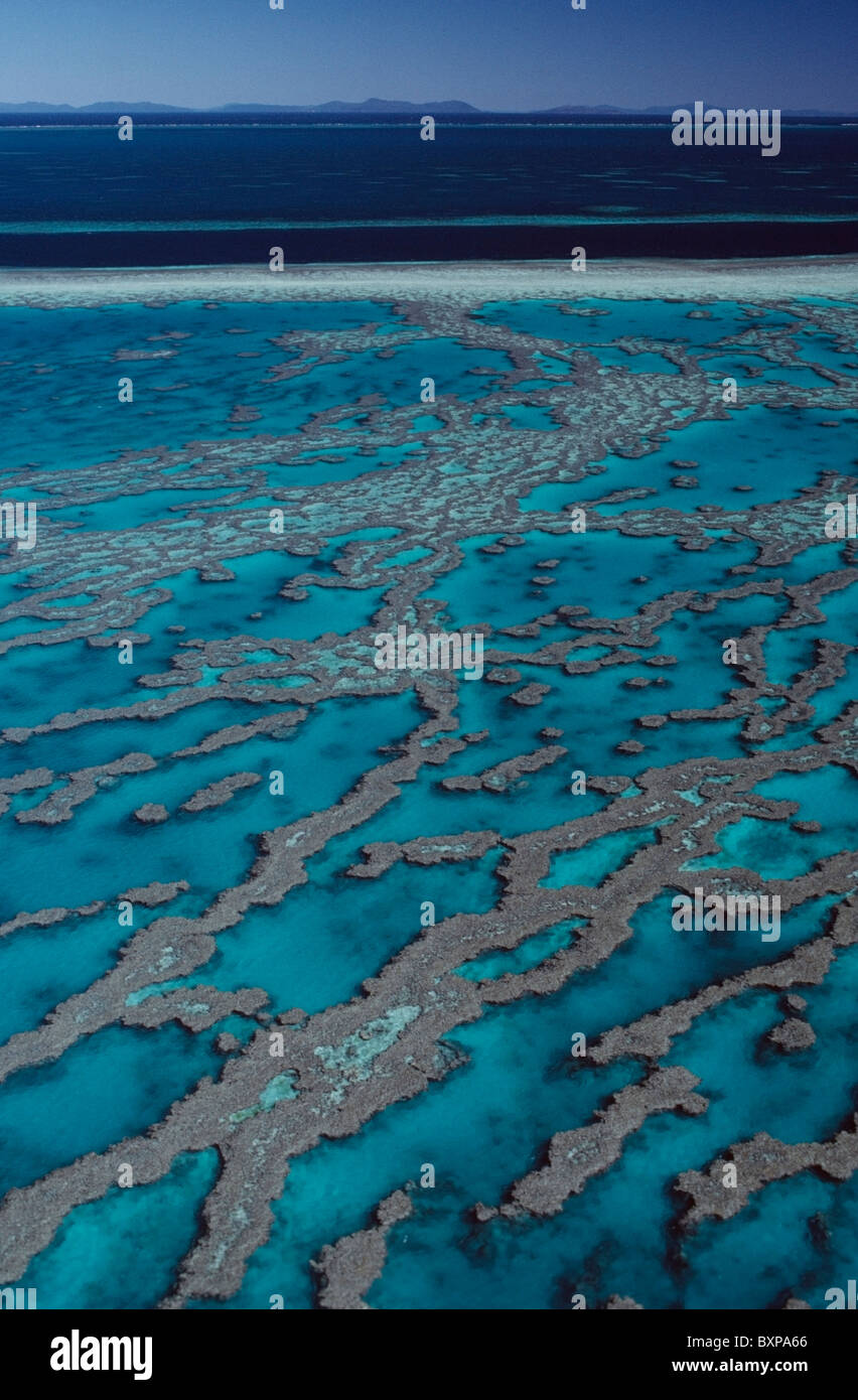 Great barrier reef color hi-res stock photography and images - Alamy