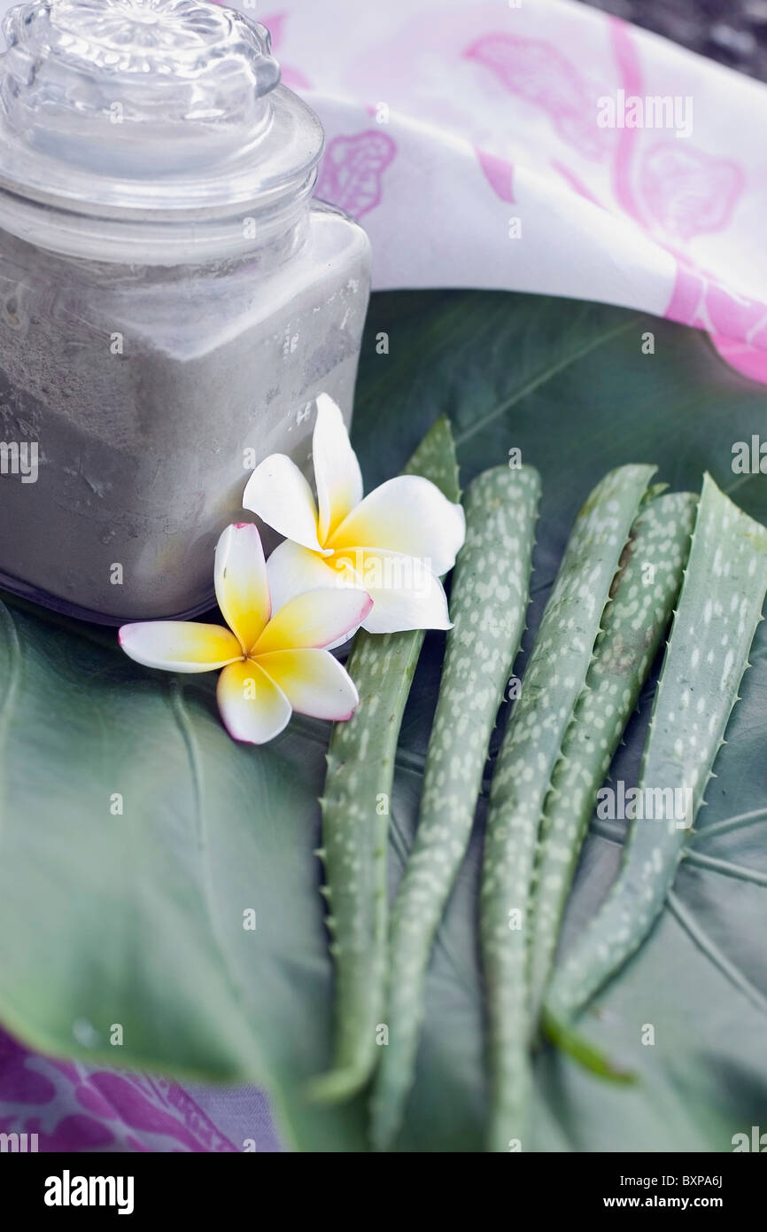 Jar With Mud Treatment Next To Flowers And Aloe Leaves Stock Photo