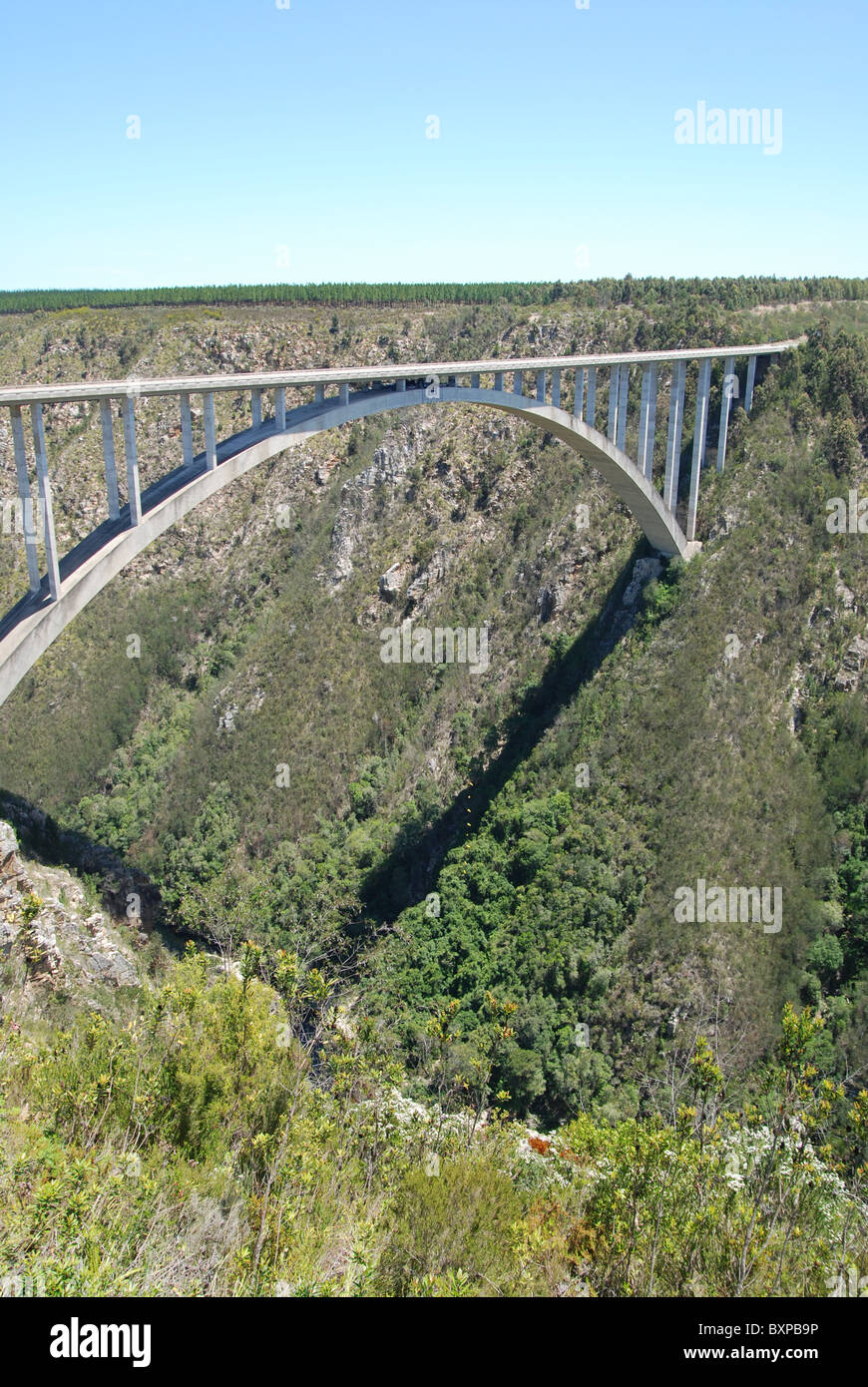 The worlds highest bungy jump (216 m) in Tsitsikamma, South Africa Stock Photo