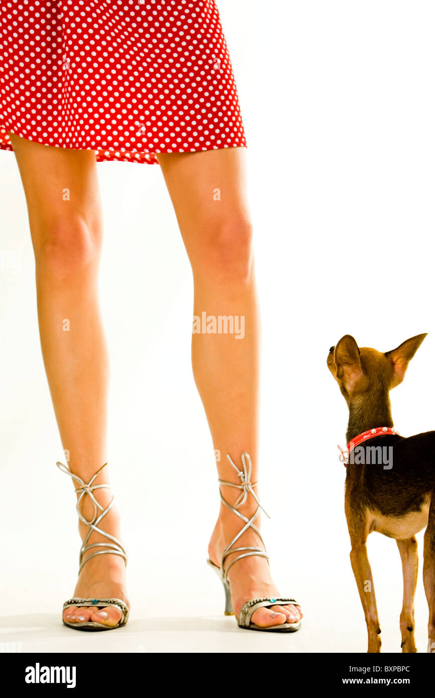 Standing Doggie Heels Standing Doggie Heels