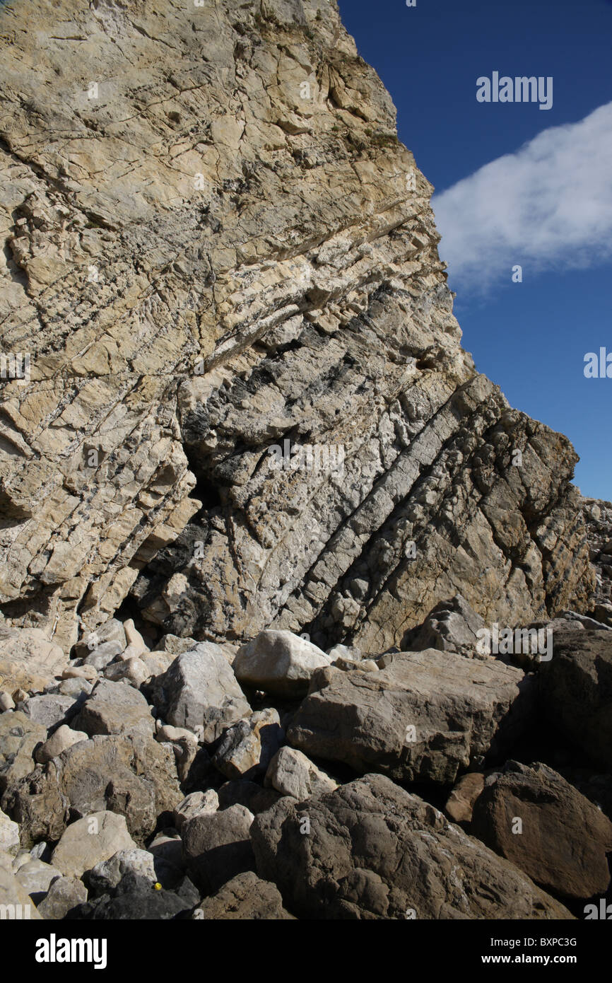 Rock strata on Dorset's jurrassic coastline Stock Photo