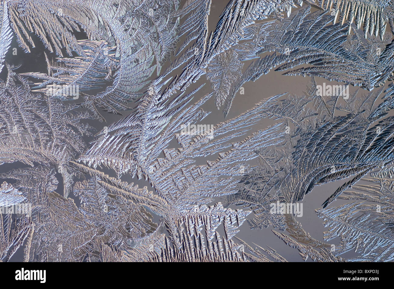 Frost formations on a window in winter. Stock Photo