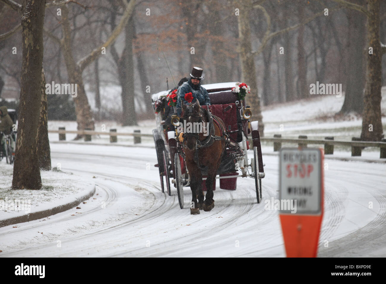 Horse-drawn carriage in Central Park South, New York city, in winter ...