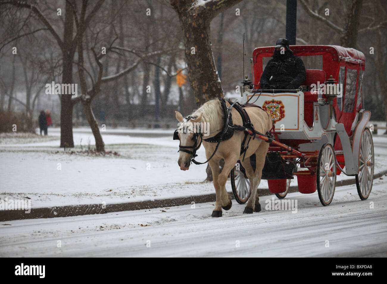 Horsedrawn carriage in Central Park South, New York city, in winter