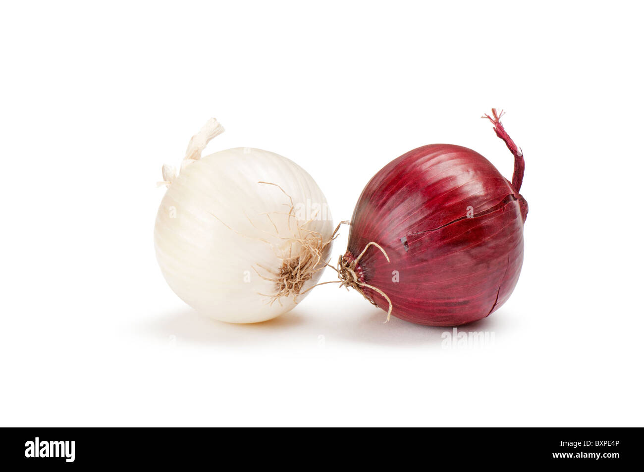 onion on white background Stock Photo - Alamy