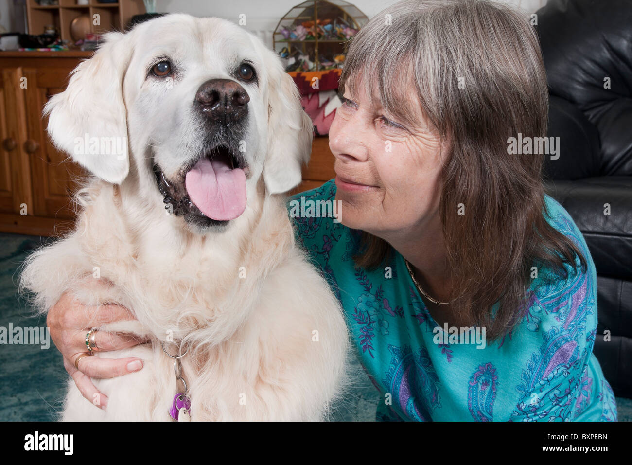 woman with her golden retriever dog at home Stock Photo - Alamy