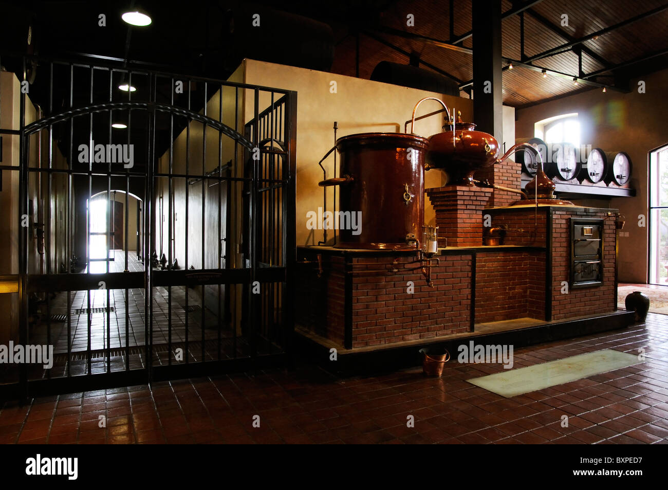 Van Ryan's Brandy Distillery in the Vlottenburg Valley near Stellenbosch Cape Province South Africa potstill cellars Stock Photo