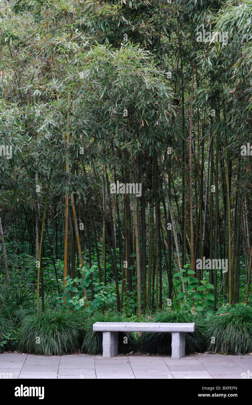 A bench in Slender West Lake Park Yangzhou Jiangsu Province of China Stock Photo