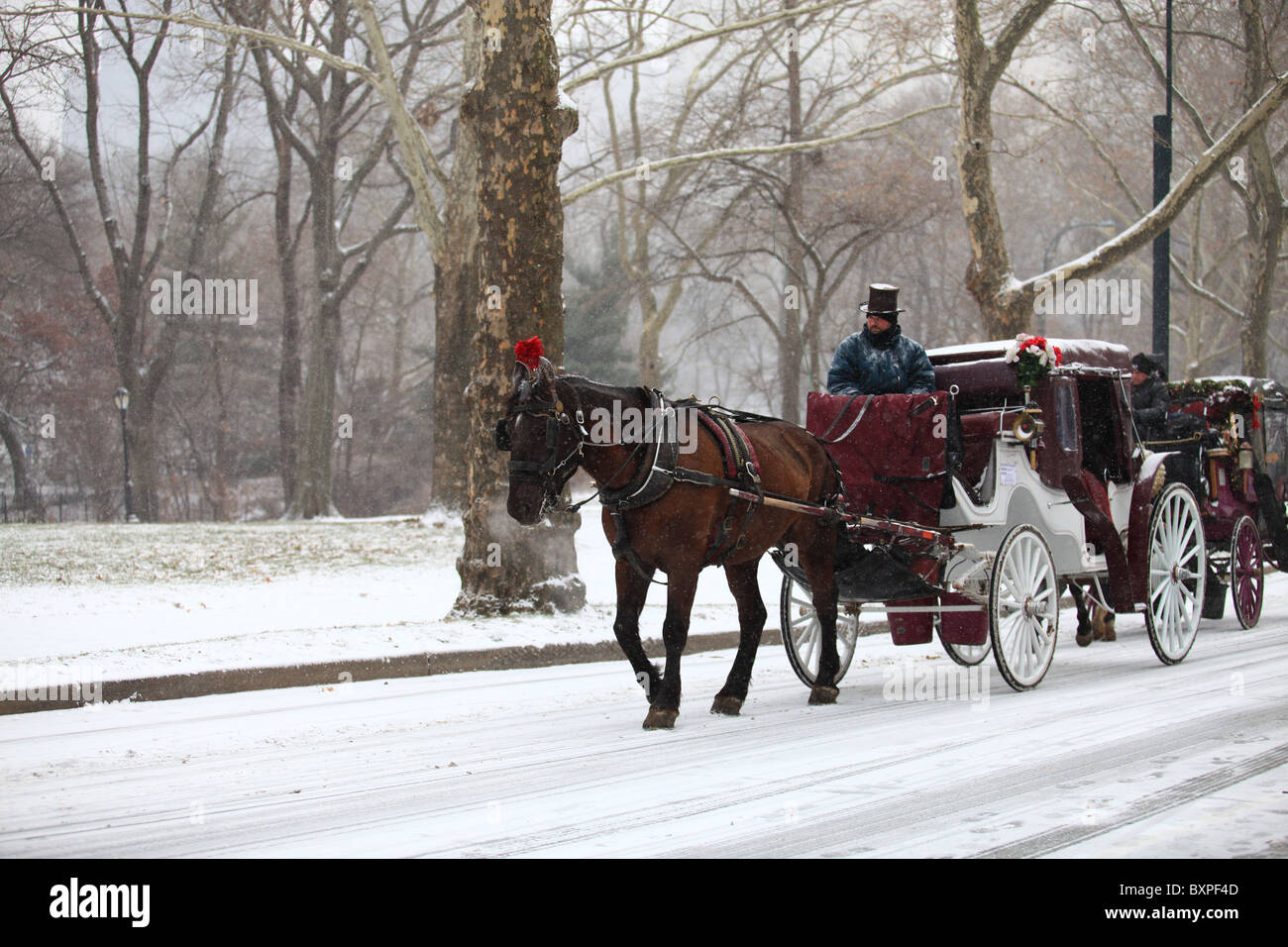 Horsedrawn carriages in Central Park South, New York city, in winter
