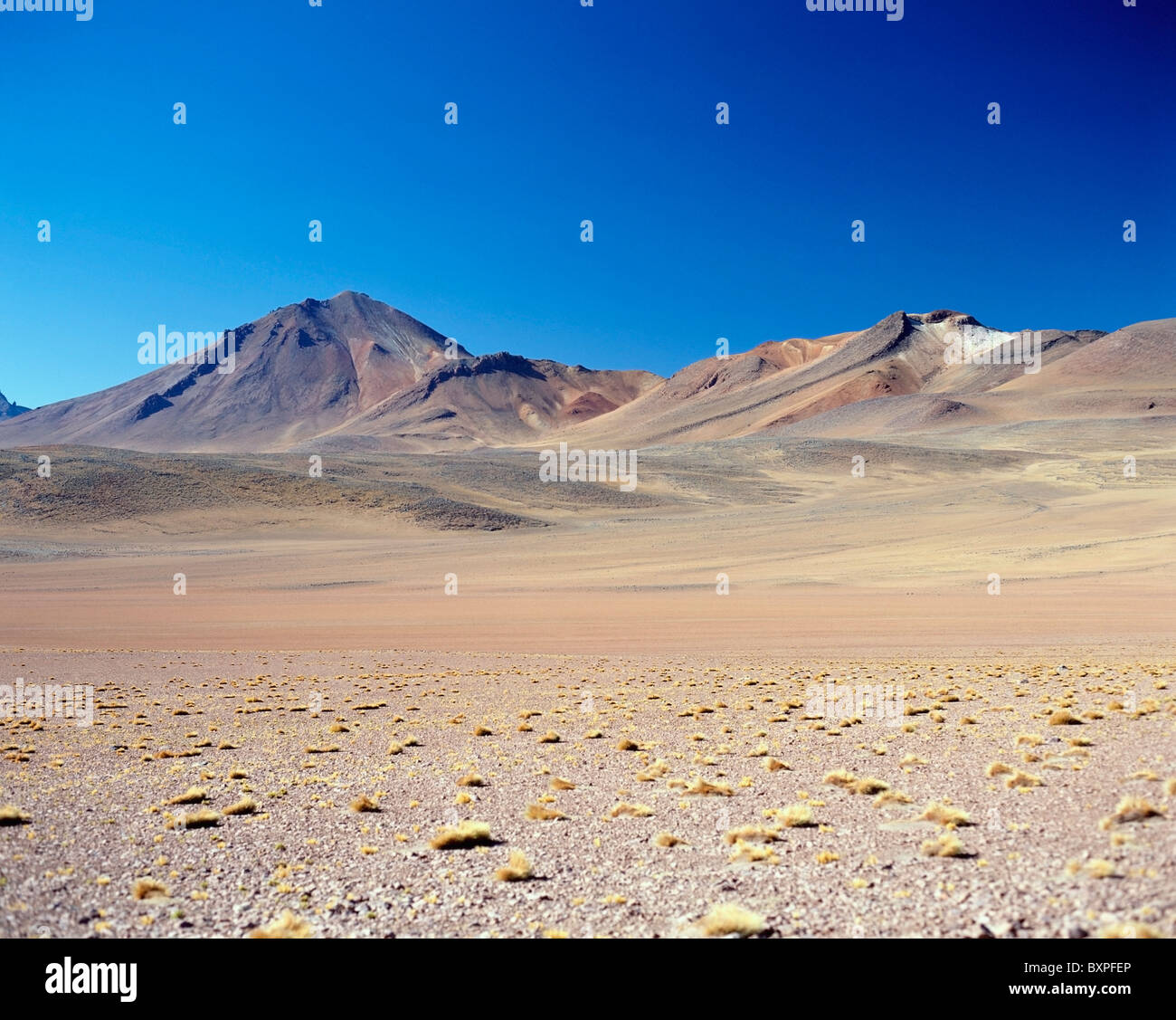 Empty Desert Landscape Stock Photo