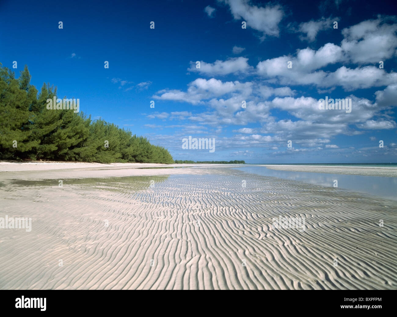 Textured Sand At Low Tide, Low Angle View Stock Photo