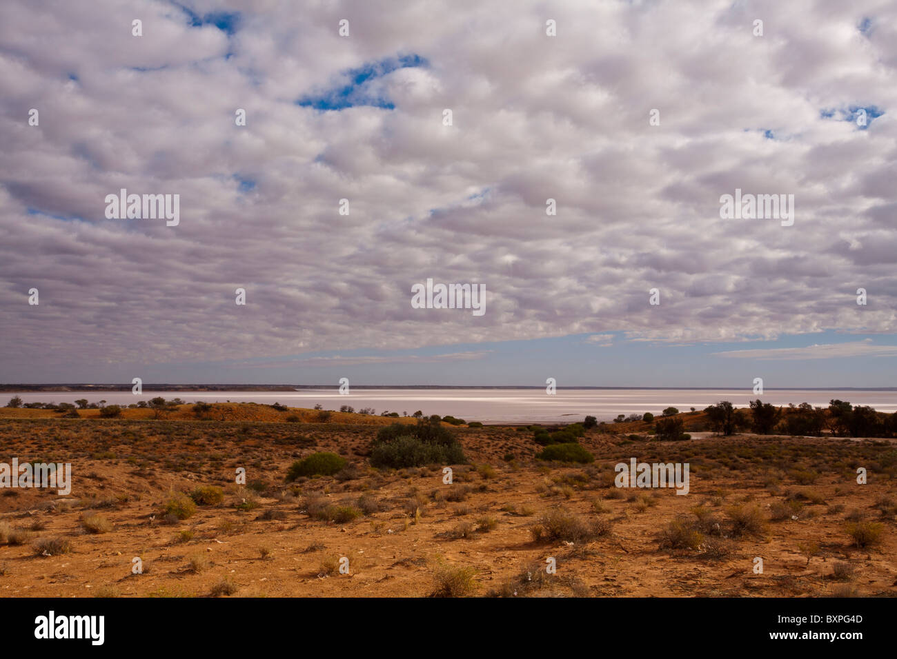 Dry salt bed of Lake Hart, Stuart Highway, outback South Australia Stock Photo
