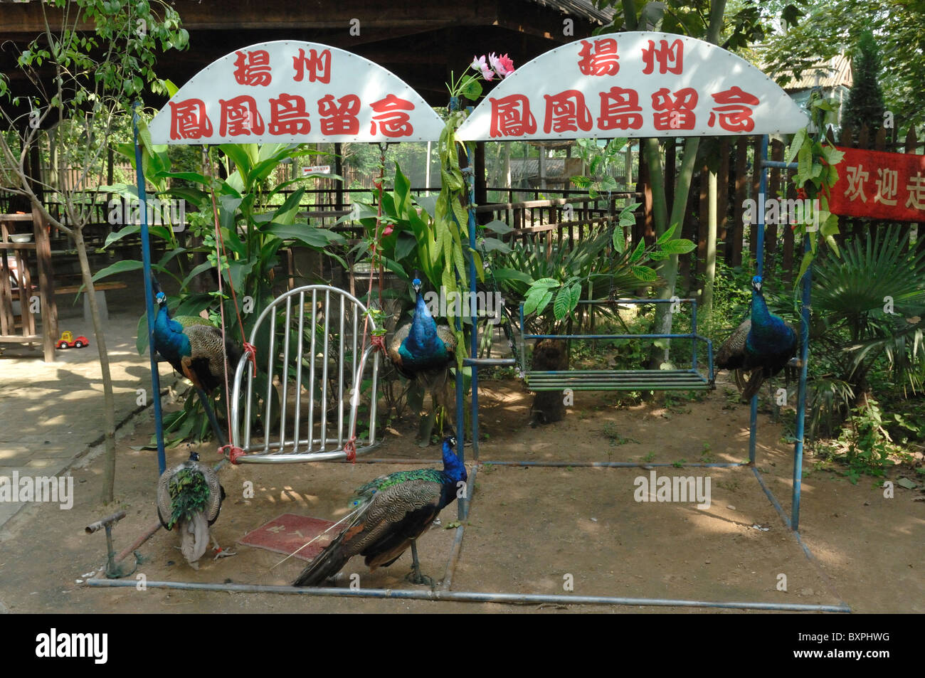 Fairground facilities at Phoenix Garden peoples park Yangzhou China Stock Photo