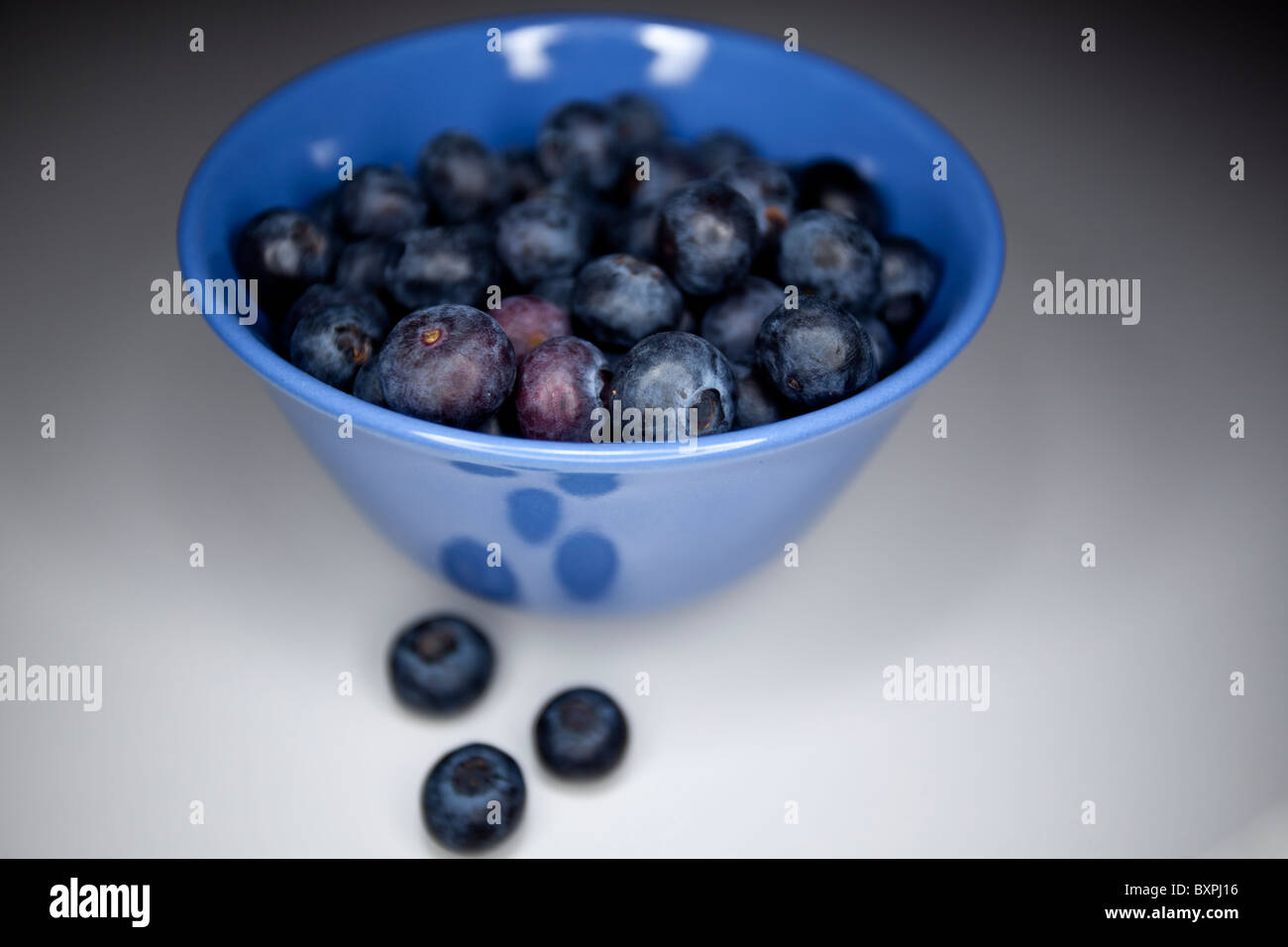 Blueberries in a bowl Stock Photo Alamy