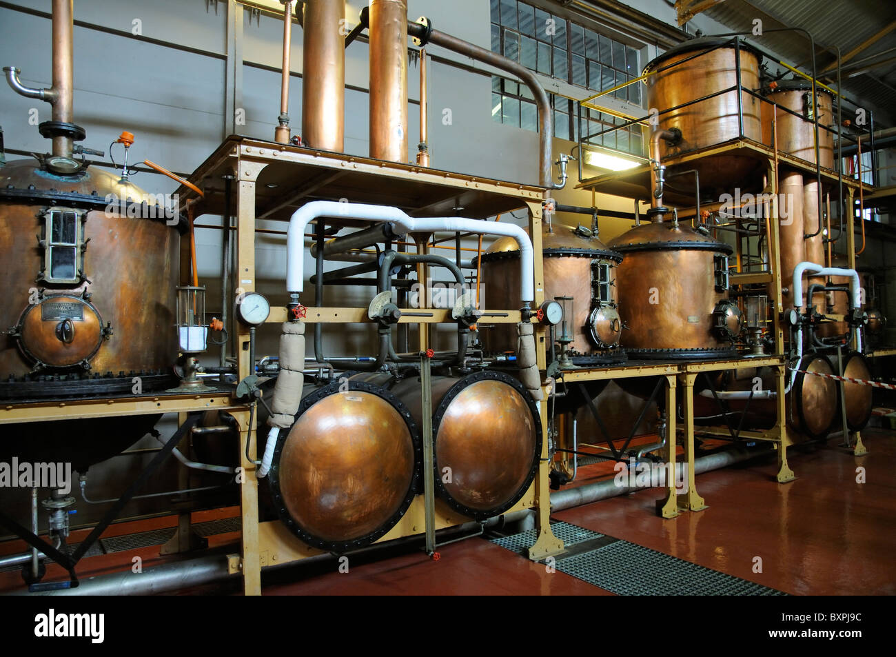 Van Ryan's Brandy Distillery in the Vlottenburg Valley near Stellenbosch Cape Province South Africa Stock Photo