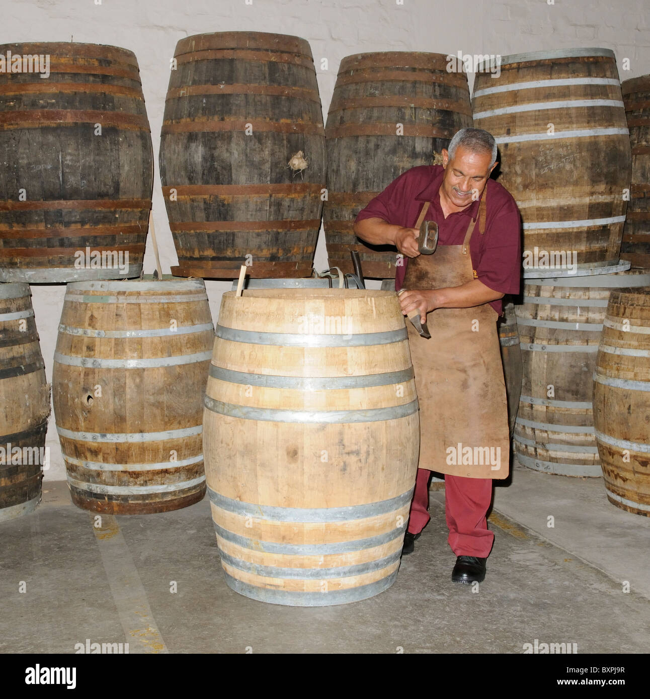 Van Ryan's Brandy Distillery in the Vlottenburg Valley near Stellenbosch Cape Province South Africa Cooper working Stock Photo