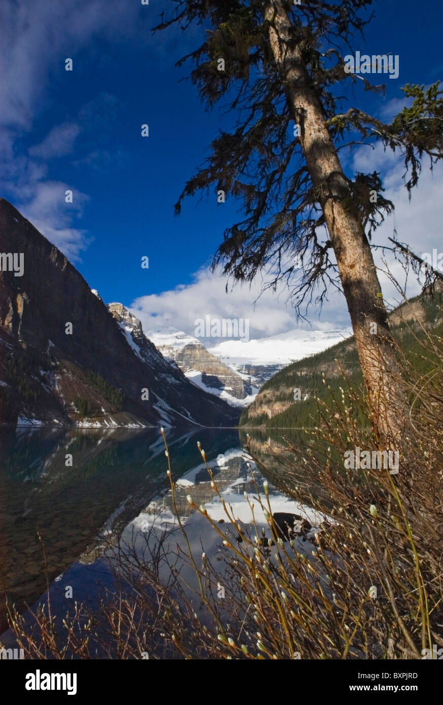 View Of Lake Louise Stock Photo - Alamy
