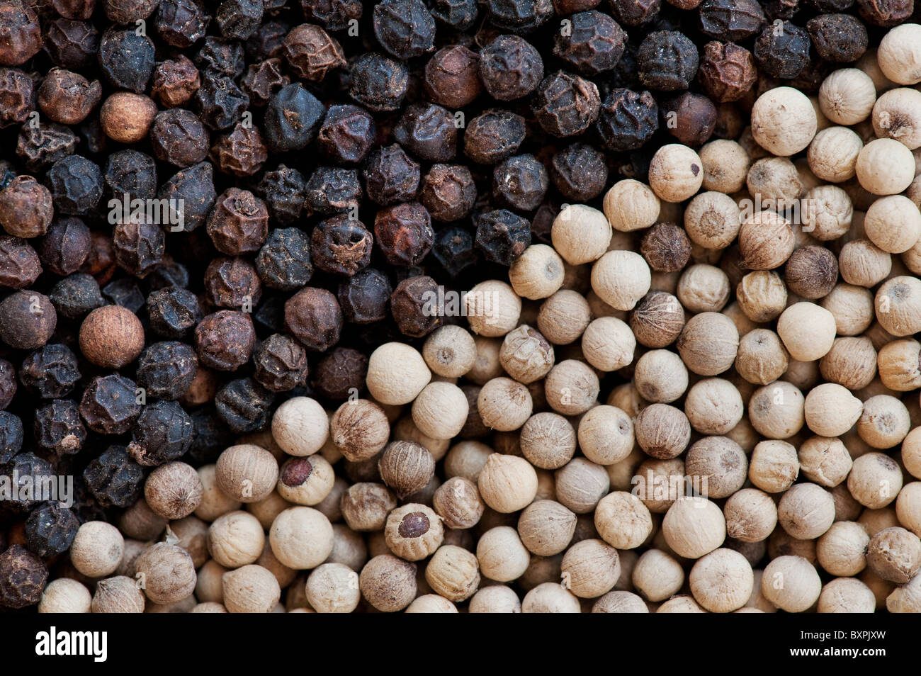 Black and white peppercorns pattern Stock Photo Alamy