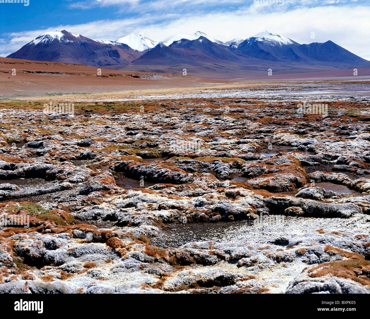 Landscape In Altiplano Stock Photo