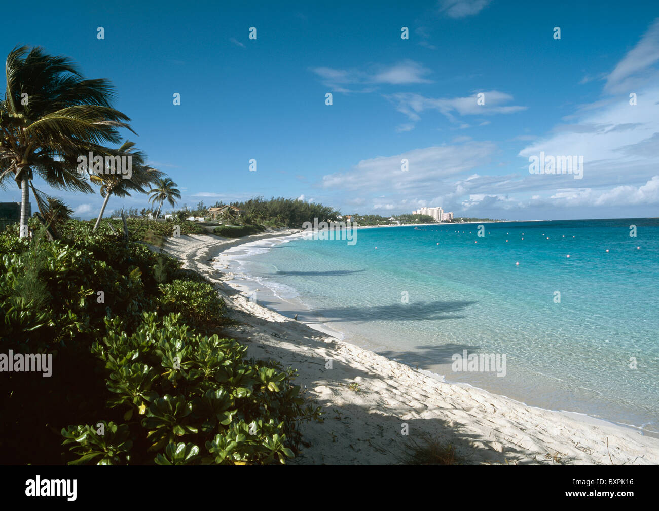 Looking Along Cabbage Beach Stock Photo Alamy