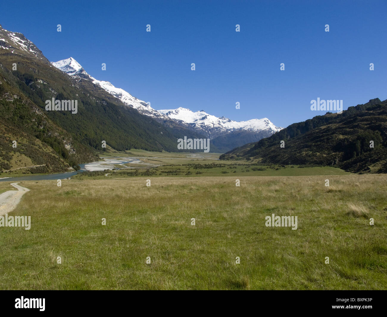 The floor of the Rees Valley is shown as wide and flat, with the snow-capped peaks of the Southern Alps high above Stock Photo