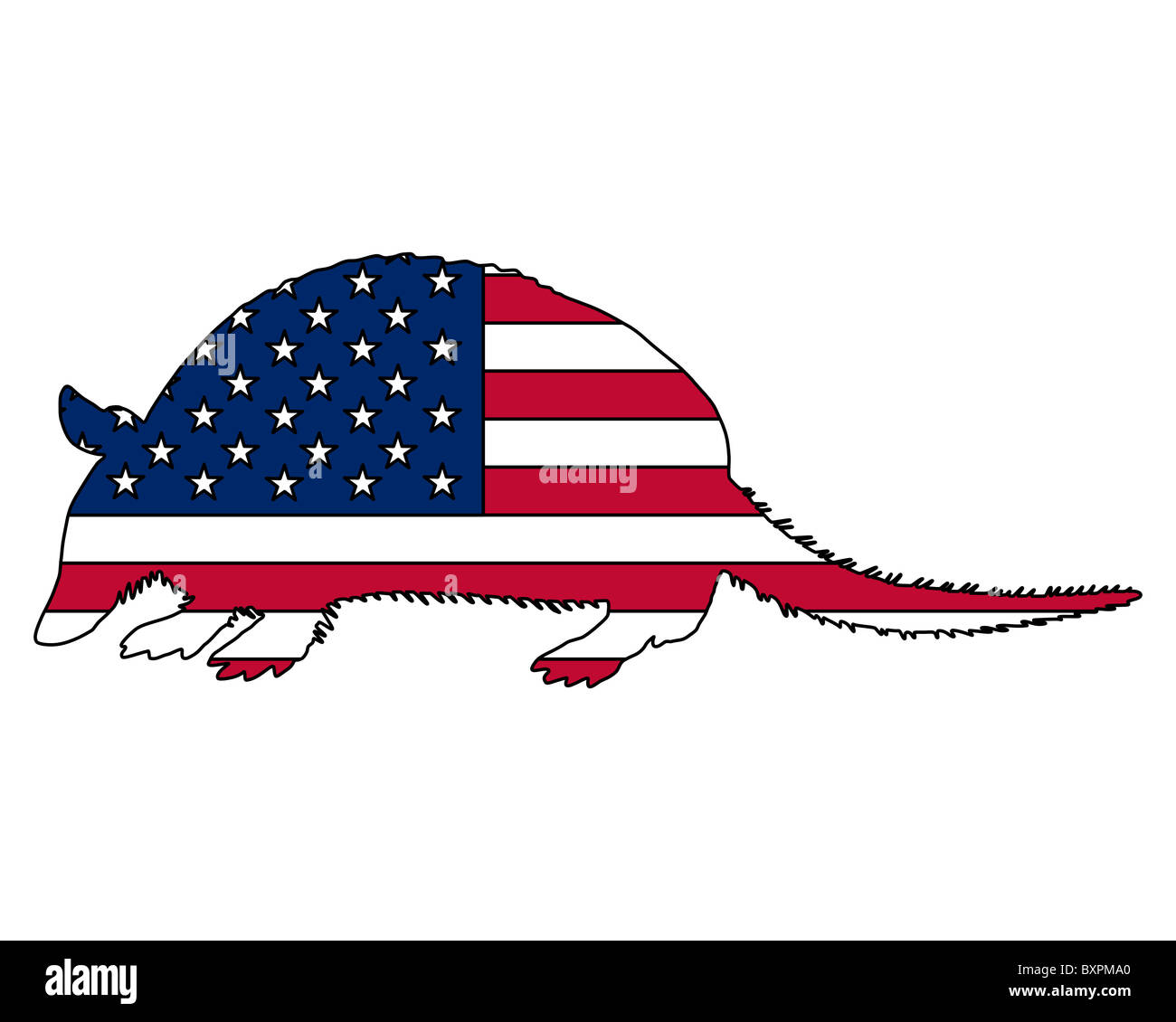 Armadillo United States of America Stock Photo Alamy
