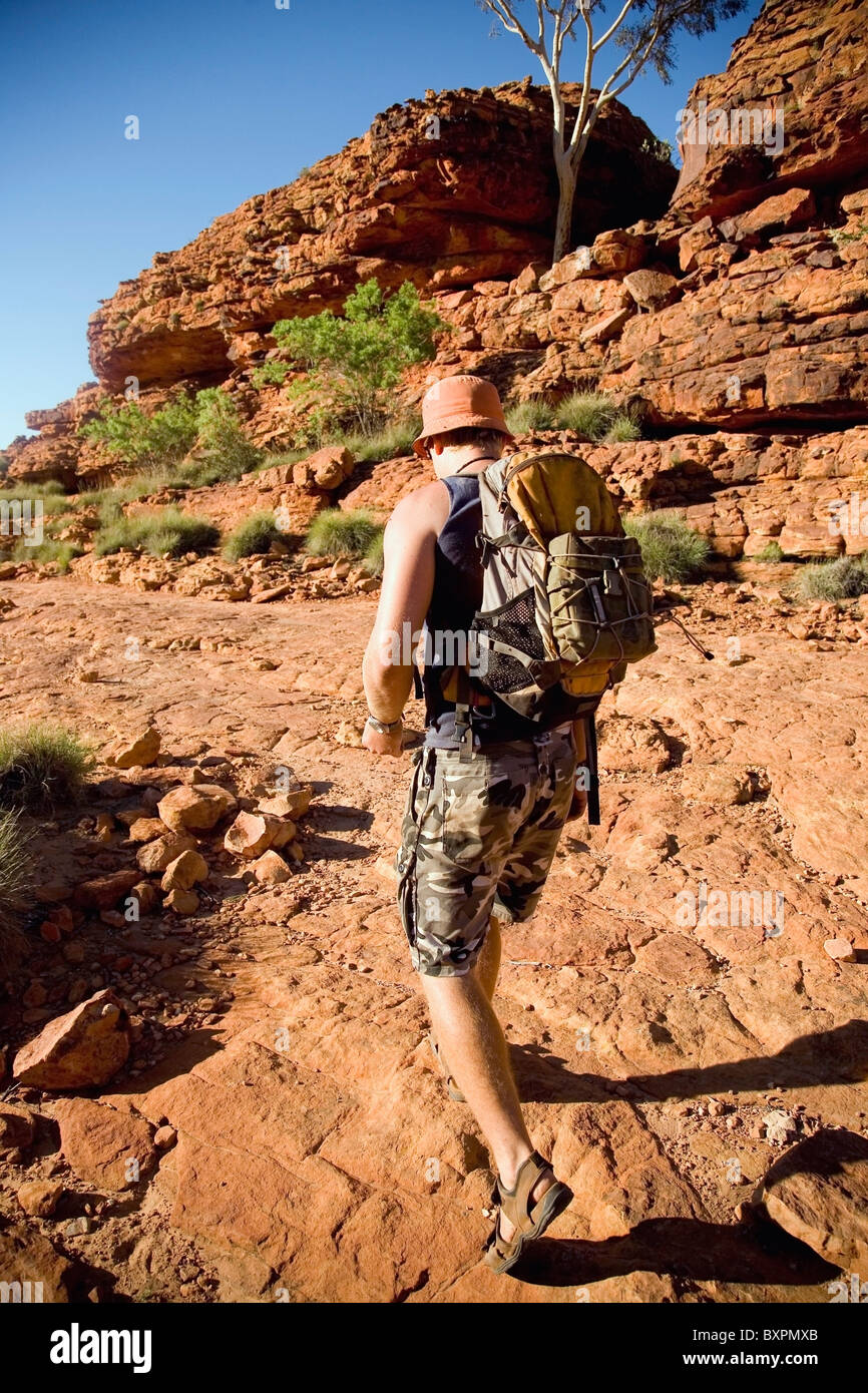 Young Male Backpacker Hiking Through Kings Canyon Stock Photo Alamy