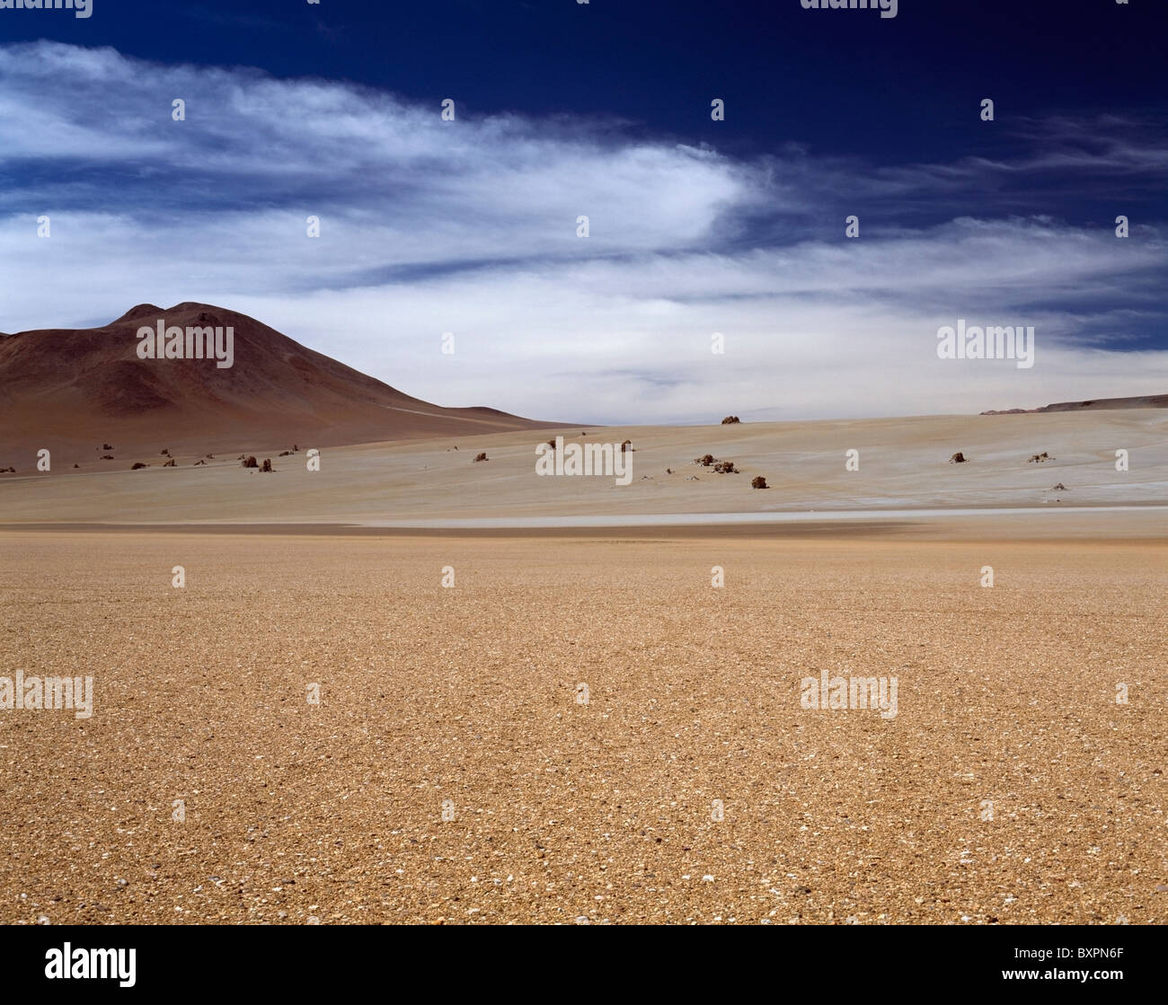 Altiplano Landscape Stock Photo