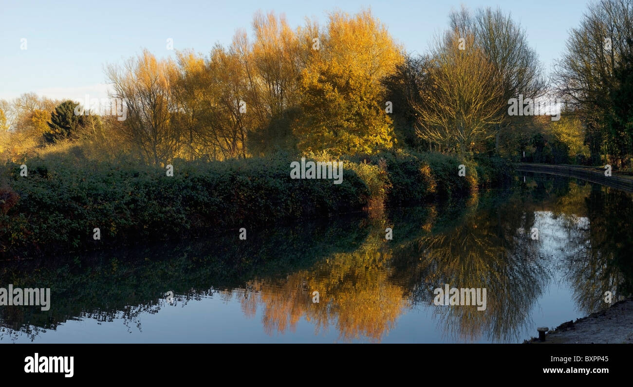 The banks of a river, with bushes and trees Stock Photo - Alamy