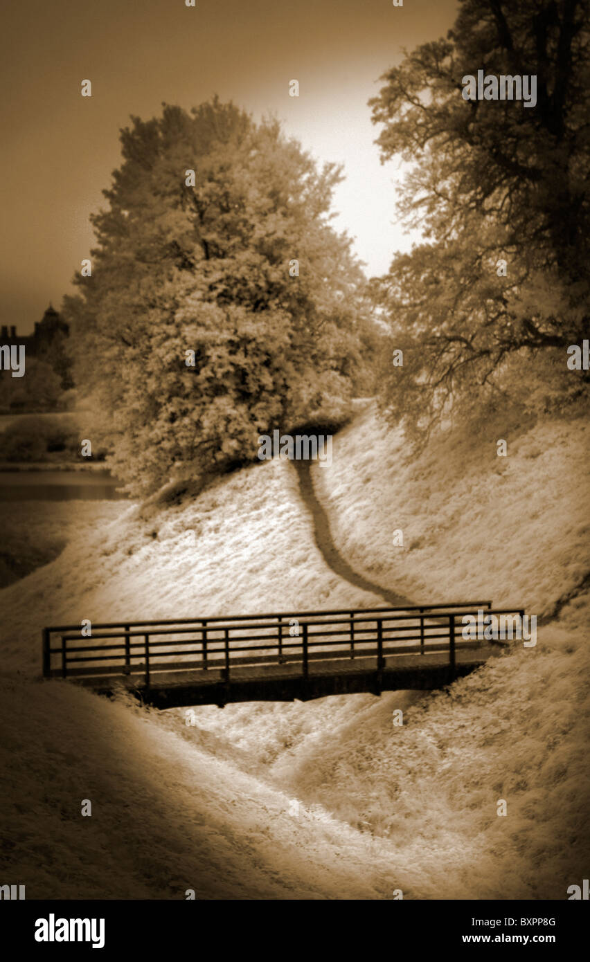 bridge leading to path behind tree Stock Photo