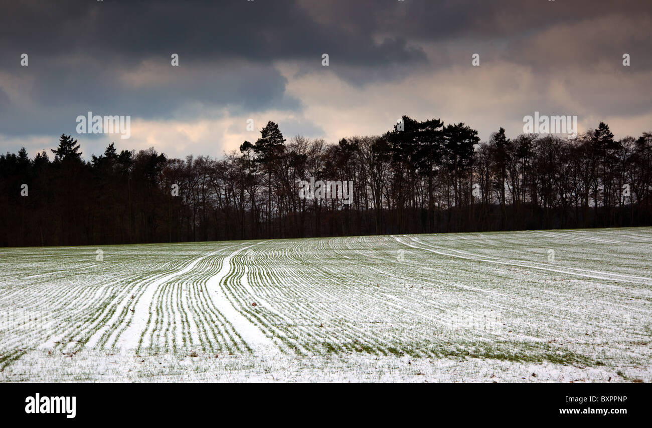 Winter England Rural Winter rural scene in the Chiltern Hills Oxfordshire England UK Stock ...
