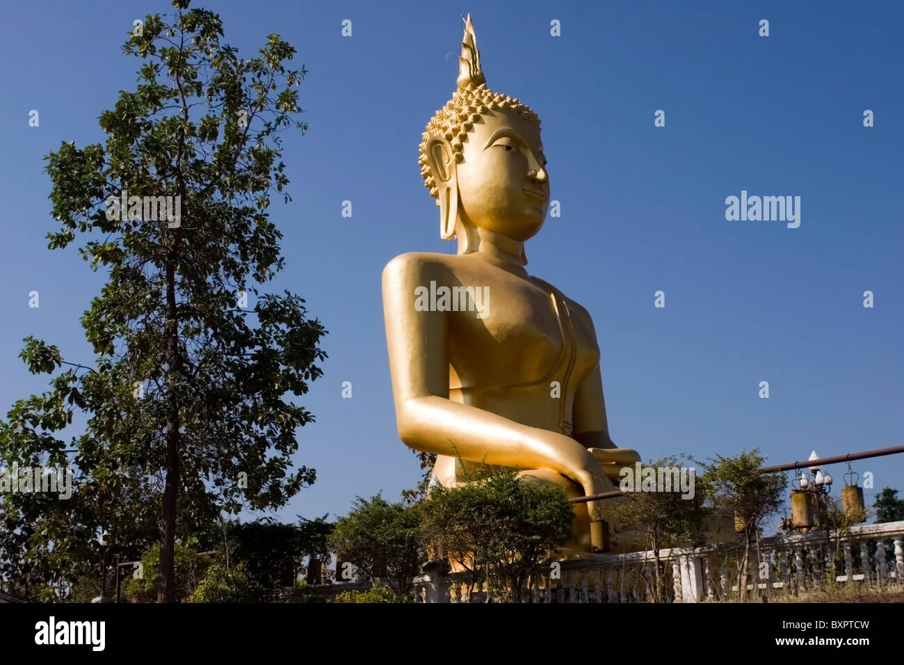 A large gold Buddha statue is on display at a beautiful Buddhist temple