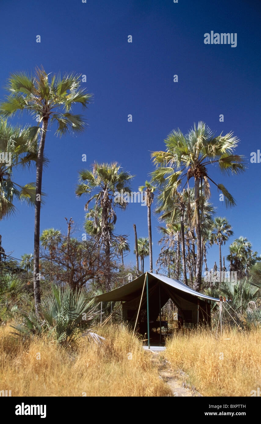 Jack's Camp In Kalahari Desert Stock Photo Alamy