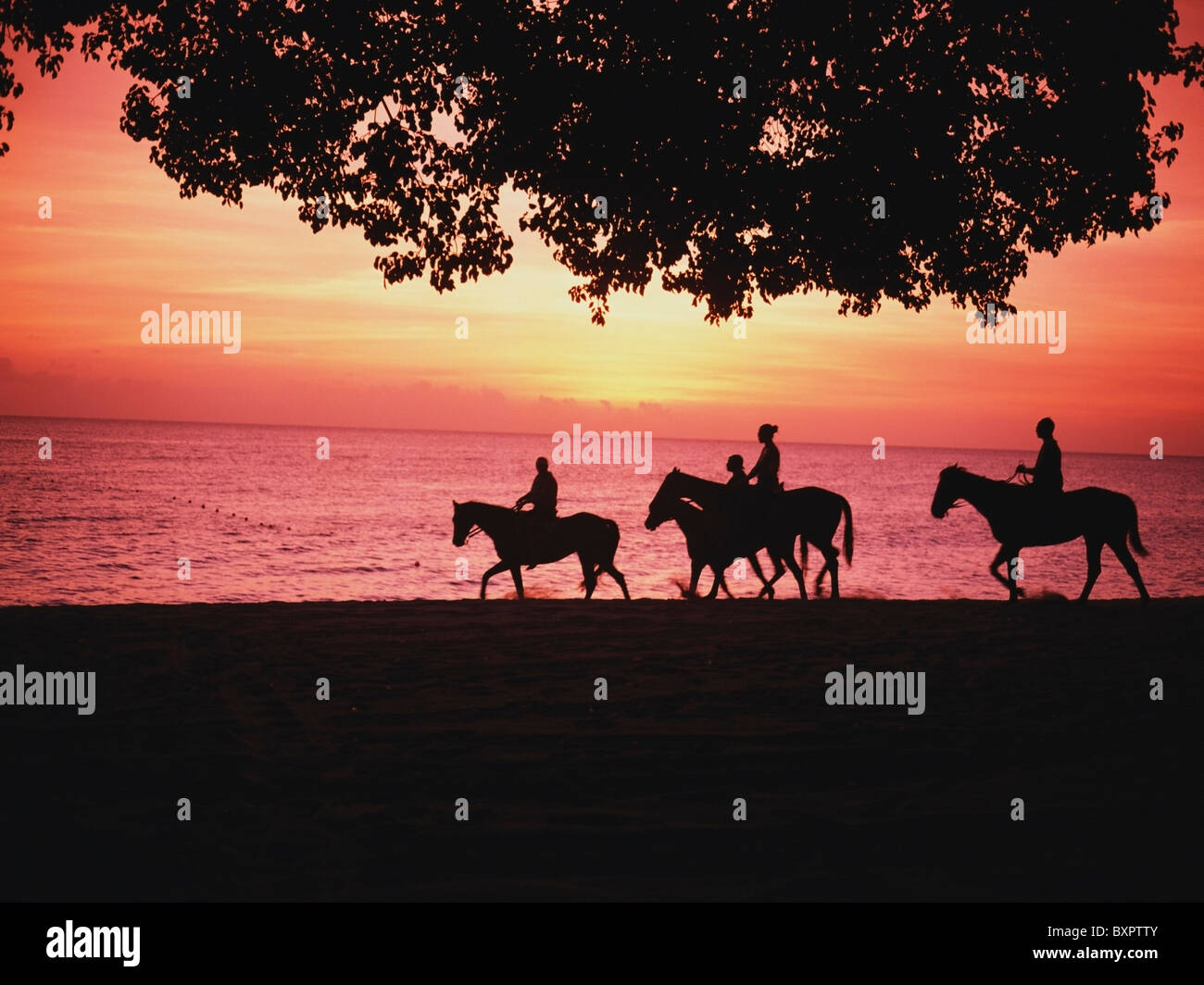 Riding Horses On The Beach At Sunset Stock Photo - Alamy