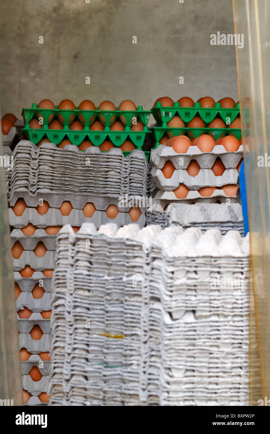 Eggs in the back of a delivery truck. Brown eggs in paper and plastic trays are stacked in the back of the lorry. Stock Photo