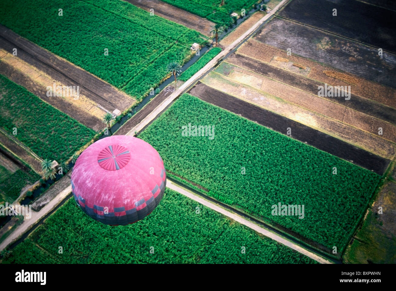 Pink Hot Air Balloon With Fields Below, Aerial View Stock Photo Alamy