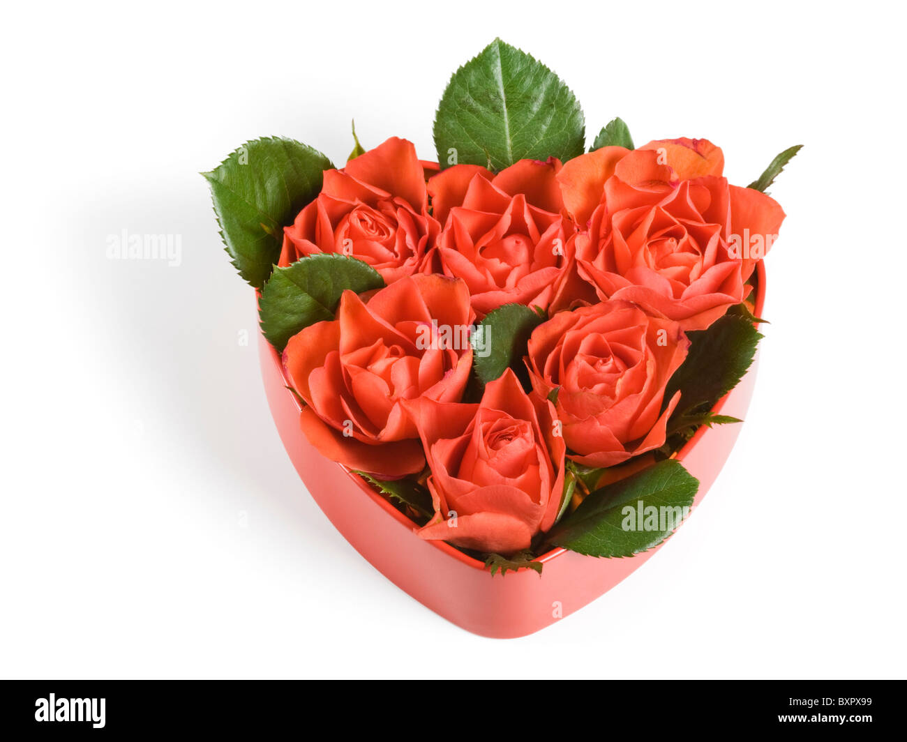 Red roses in a heart-shaped box Stock Photo - Alamy