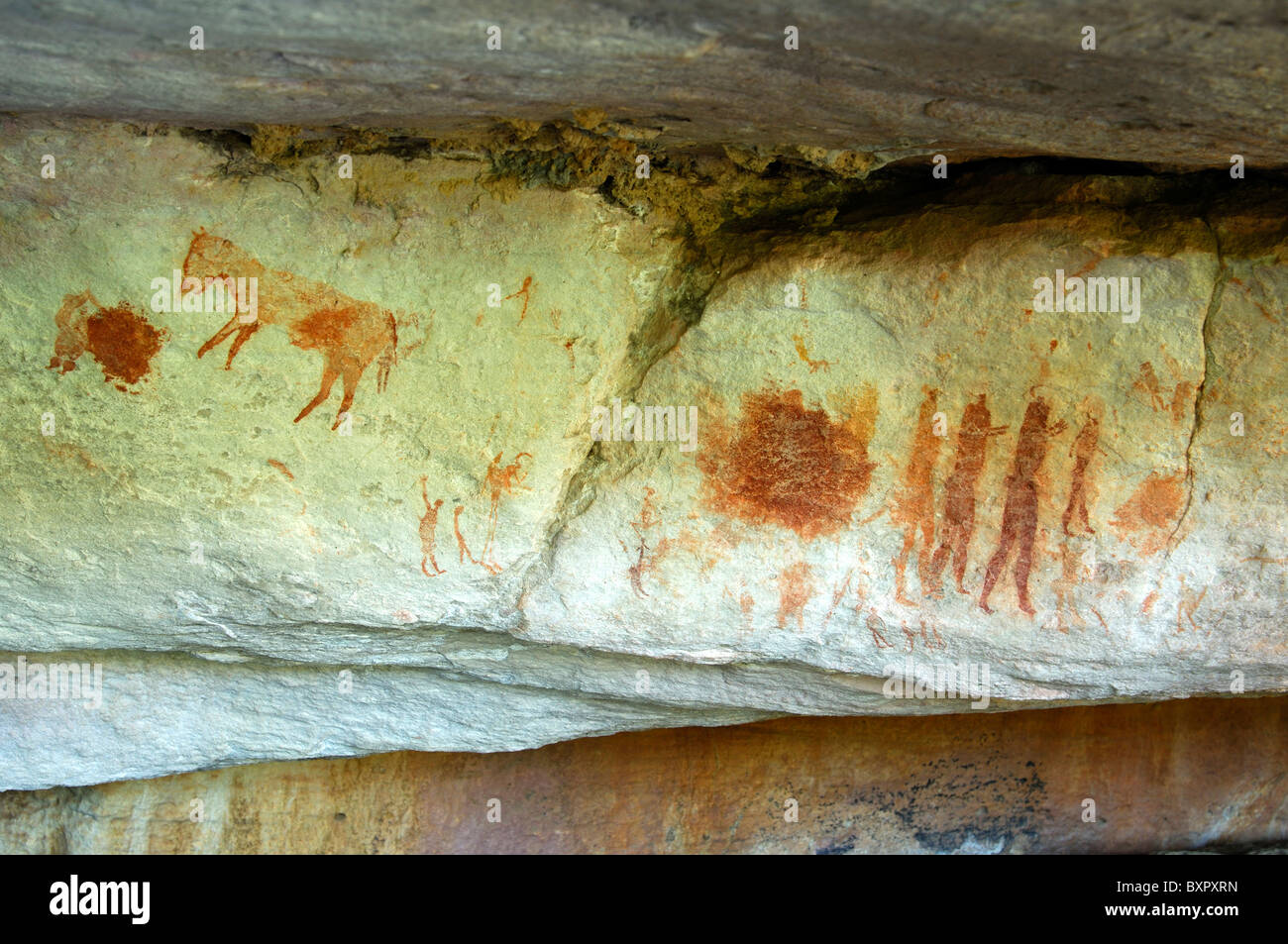 Prehistoric rock paintings of animals and a groupe of persons by the San people, Cederberg Mountains, South Africa Stock Photo