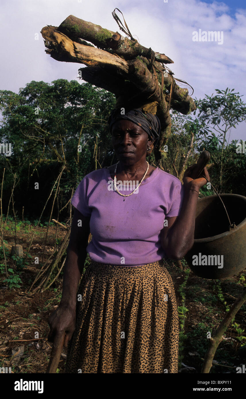 Women in agriculture. MOCA South Bioko Island  EQUATORIAL GUINEA Stock Photo