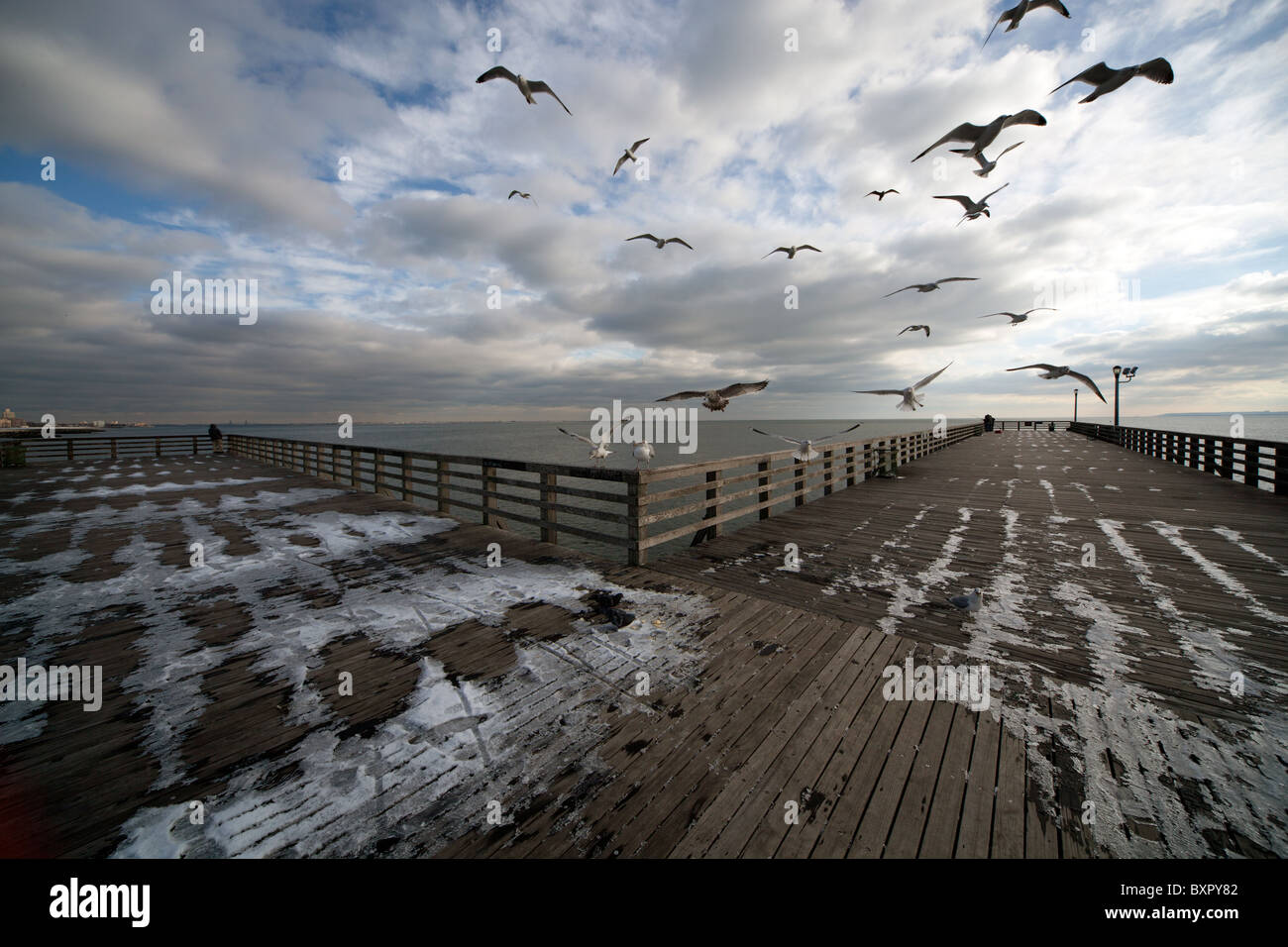 Seagulls  flying over a frozen pier Stock Photo