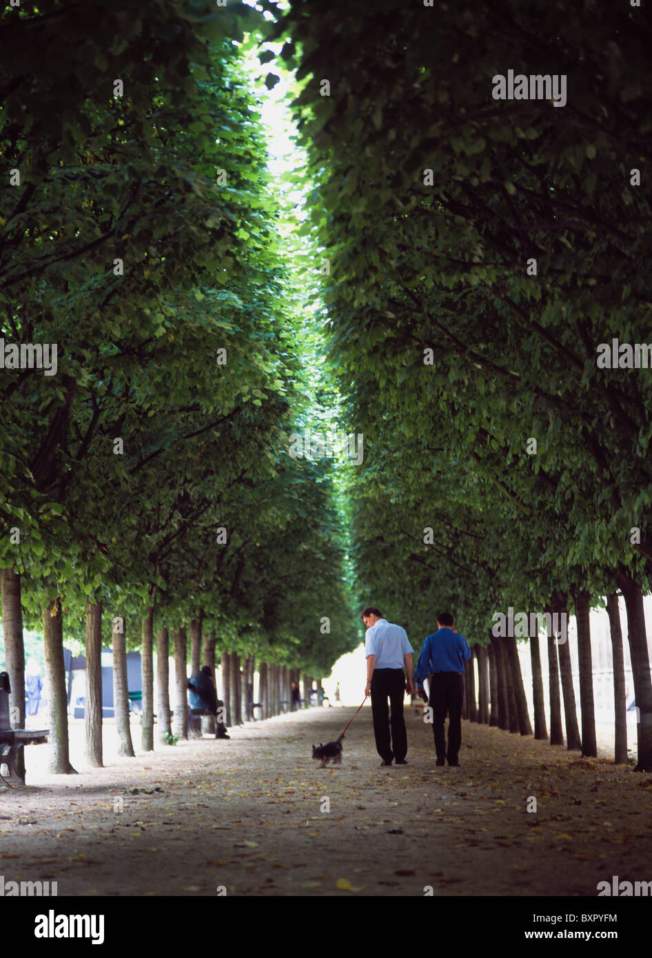 People Walking Dog In The Gardens Of The Palais Royale. Stock Photo