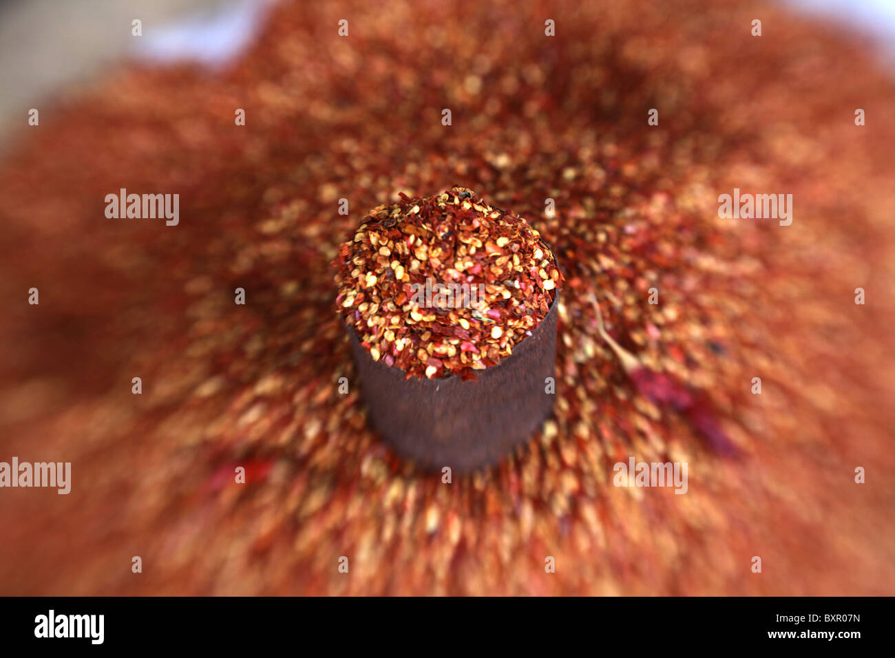 Chilli Seed High Resolution Stock Photography and Images - Alamy
