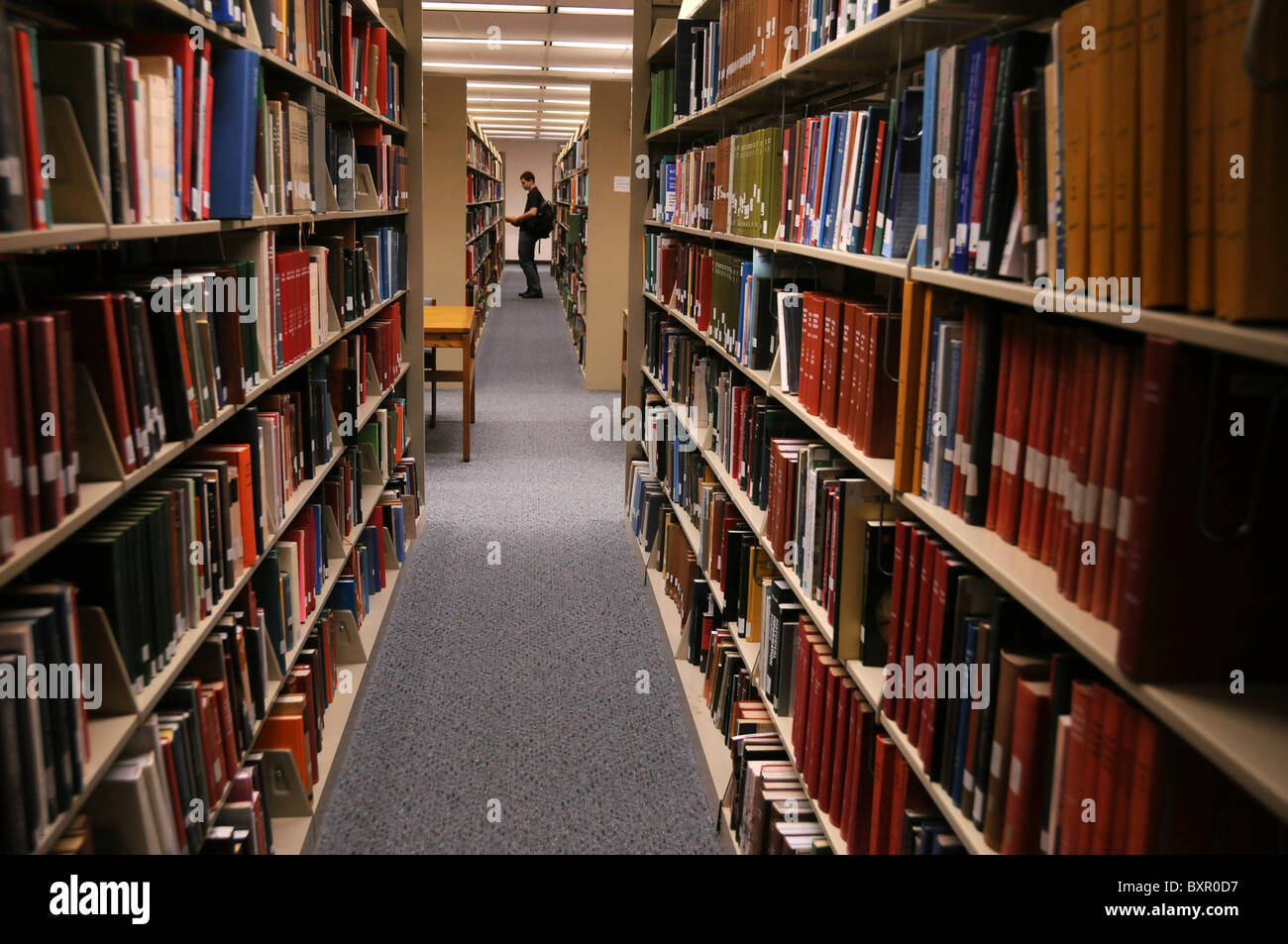 Stacks of books in a college library, Tucson, Arizona, USA Stock Photo