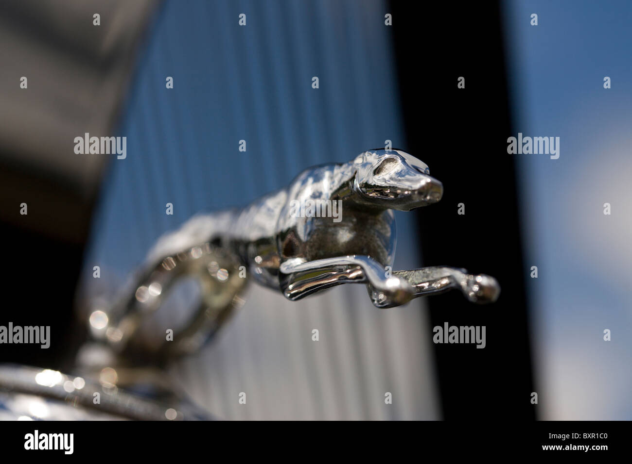 Vintage greyhound hood ornament Stock Photo Alamy
