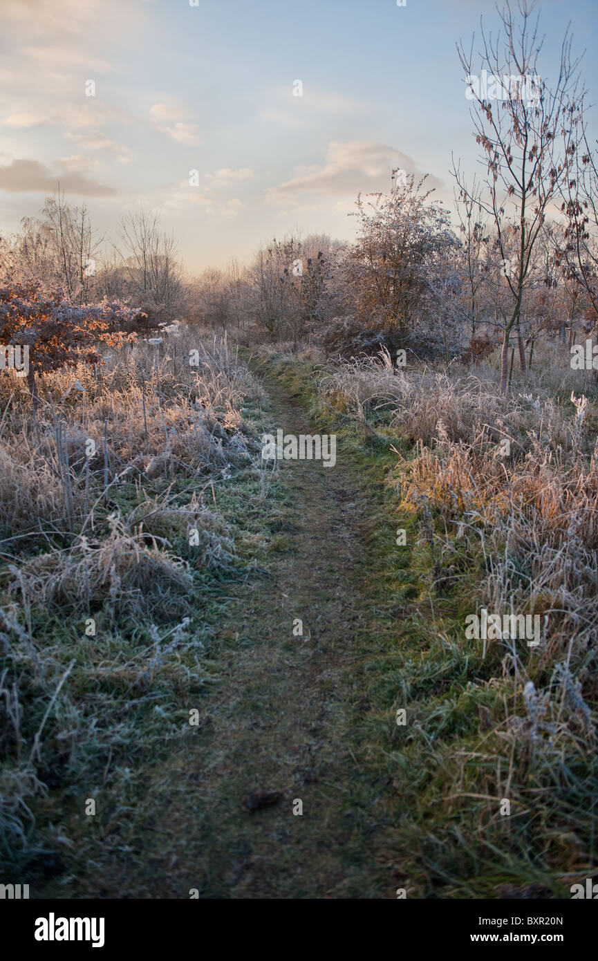 A Frosty winter's morning walk in the countryside Stock Photo